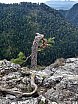 2019-09-23_25_Wycieczka_Pieniny_Tatry