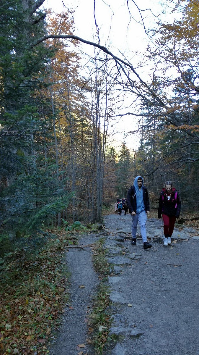 2019-10-17_wycieczka_2b_2d