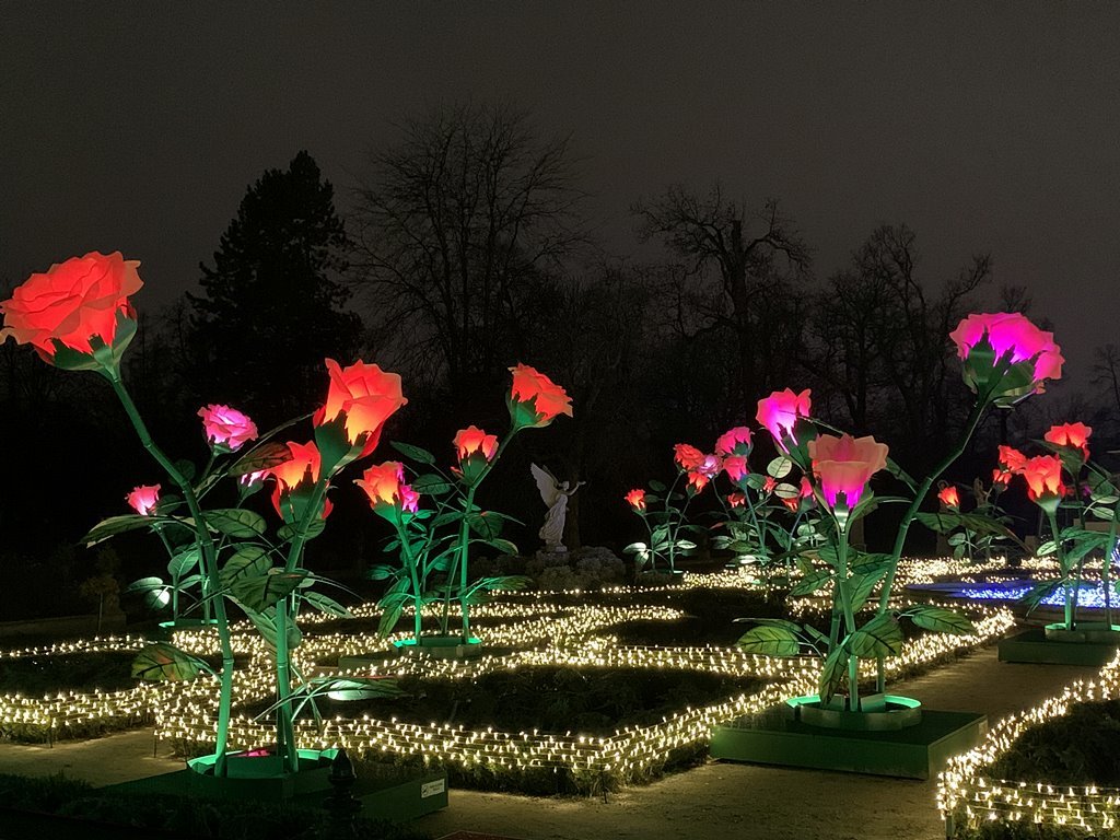2024-12-10 Mikolajkowa_Warszawa